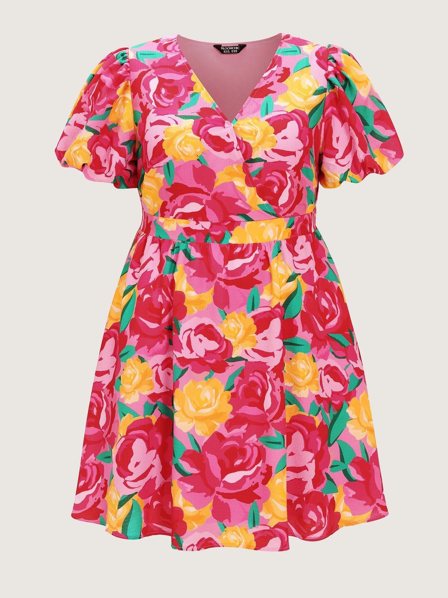 Rose Print Fit And Flare Mini Dress